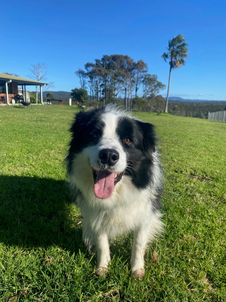 When am I coming back?